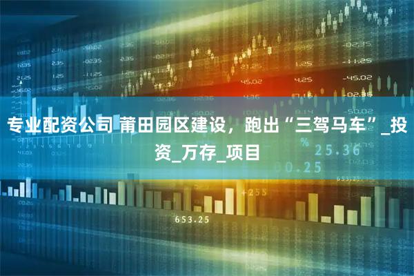 专业配资公司 莆田园区建设，跑出“三驾马车”_投资_万存_项目